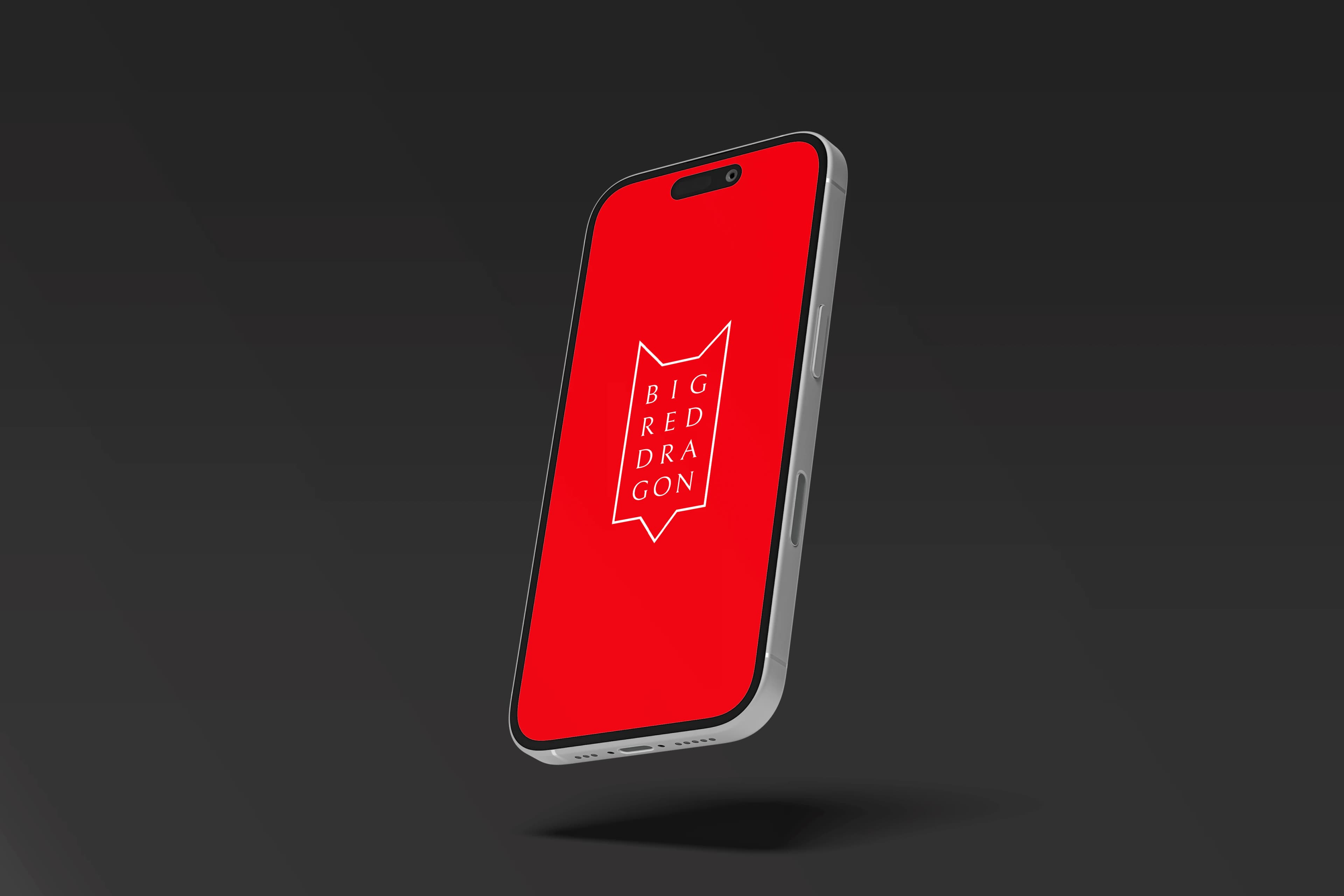 Branding design for BigRedDragon