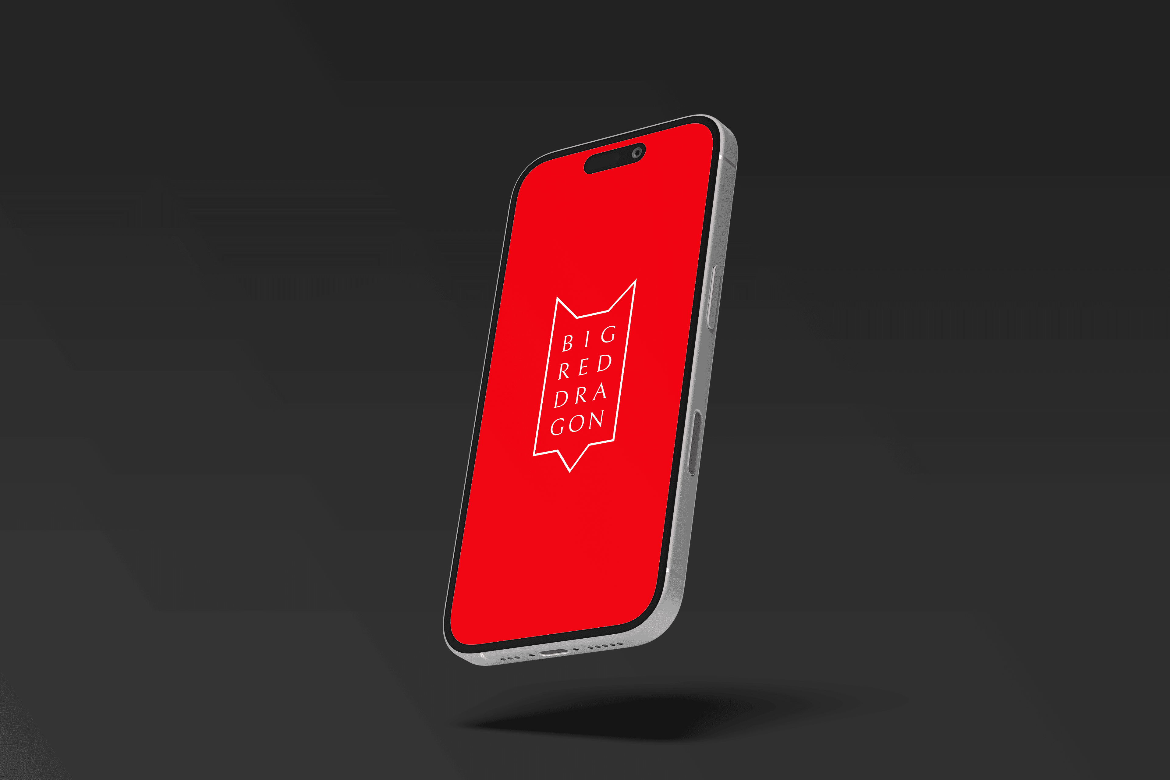 Branding design for BigRedDragon