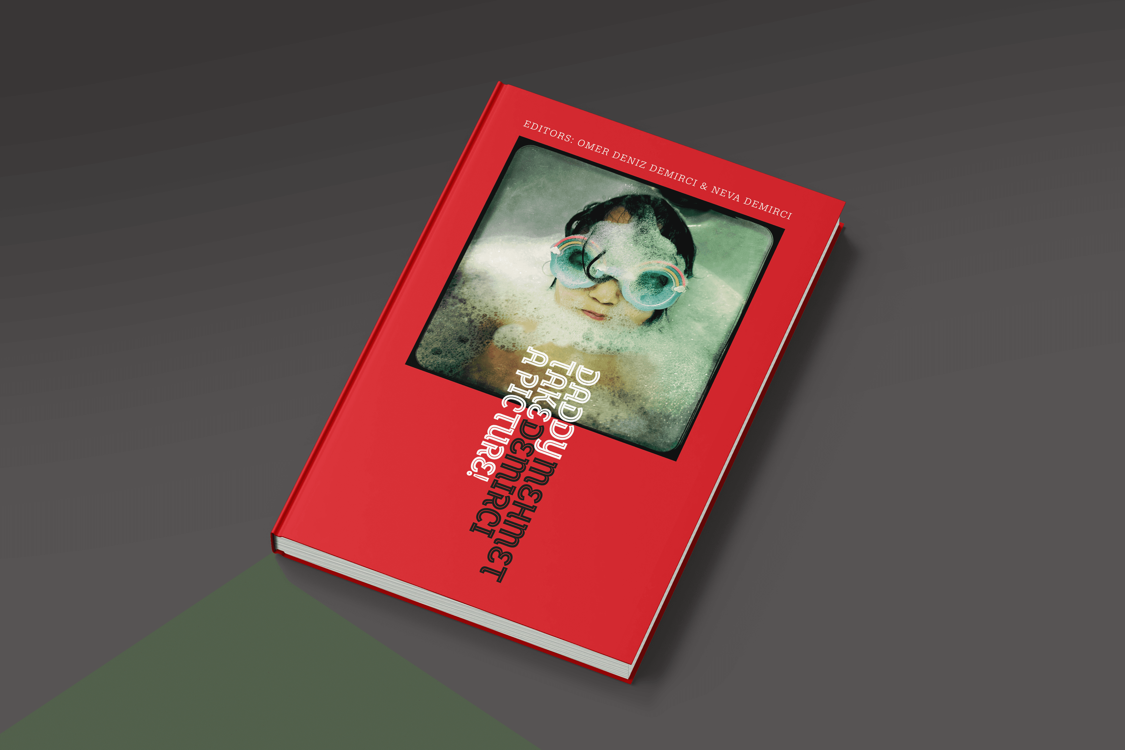 Book Design For “Daddy Take a Picture” project